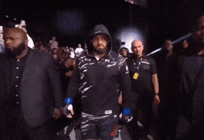Ufc GIF