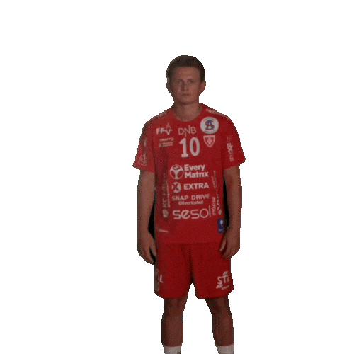 Rema1000Ligaen Follo Sticker by Norsk Topphåndball