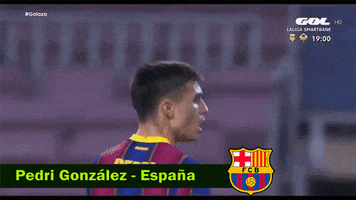 Soccer GIF