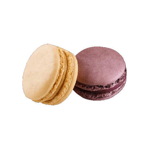 Cake Macarons Sticker by Isabella Glutenfreie Patisserie
