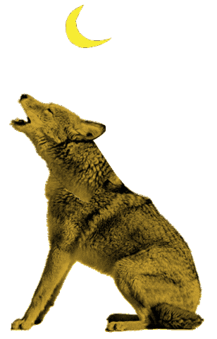 San Francisco Wolf Sticker by Outside Lands