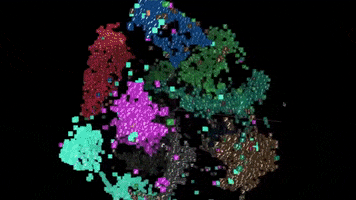 Machine Learning GIF