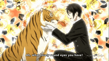 tiger GIF by Funimation