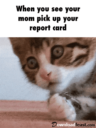 Image result for report card sent home, humor