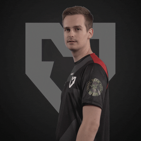 Acor GIF by mousesports