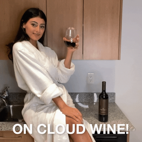 Cheers Wine GIF by Jackson-Triggs