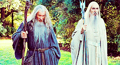 fellowship of the ring