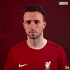 Come Here Diogo Jota GIF by Liverpool FC