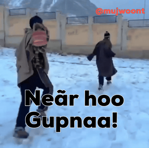 Near Hoo GIF