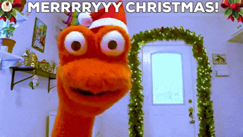 Happy Merry Christmas GIF by The Fact a Day