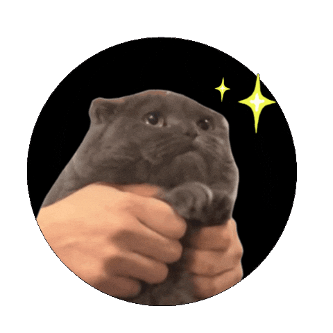 Gd 권지용 Sticker