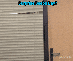 Beebs GIF