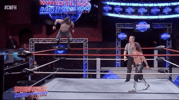 Hollywood Dropkick GIF by United Wrestling Network