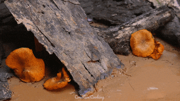 Magic Crab GIF by CreativeCooking