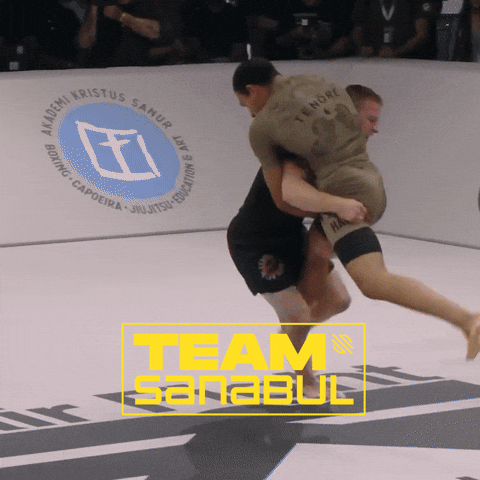 Mma Bjj GIF by Sanabul