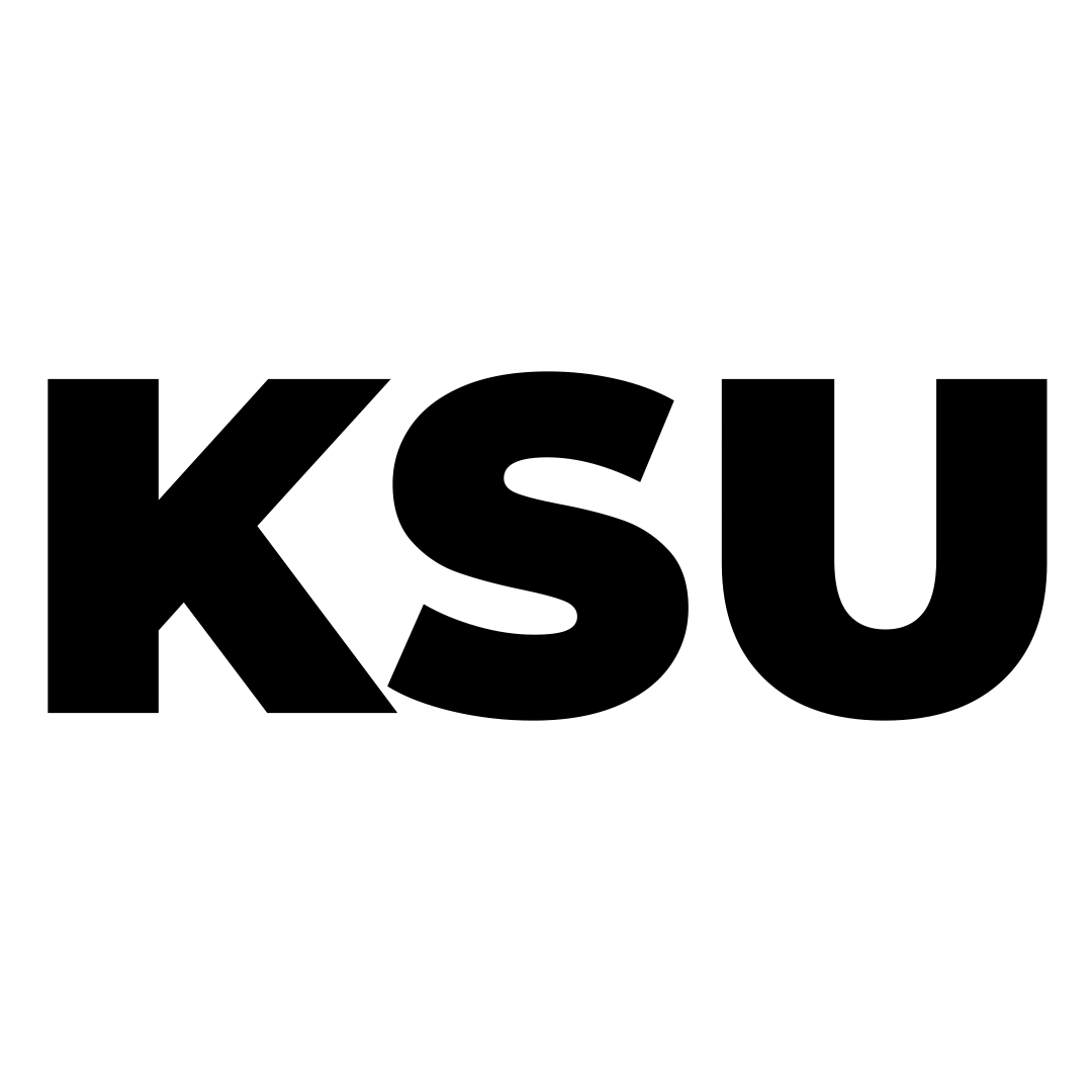 KSU Golden Flashes Infant Flash Logo Onesie – Gameday Spirit Fanstore