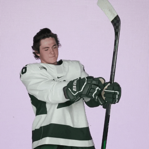 Go Green Bow And Arrow GIF by Michigan State Athletics