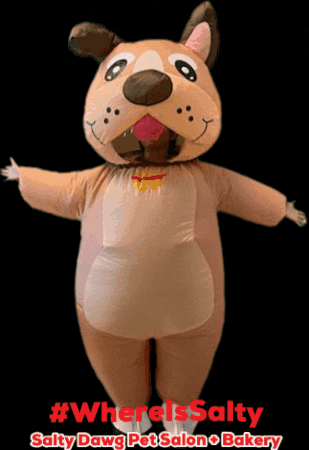 Doggrooming Petsofinstagram GIF by Salty Dawg Pet Salon + Bakery