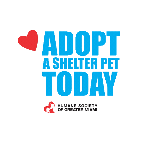 Adoption Sticker by Humane Society Miami