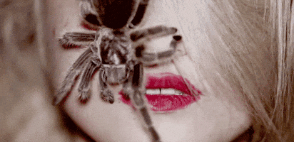 lips spider GIF by Sky Ferreira