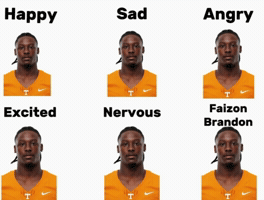 Tennessee Volunteers GIF