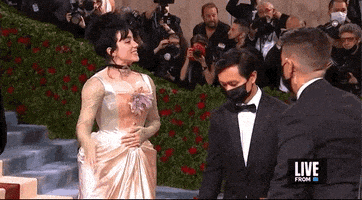 Met Gala GIF by E!
