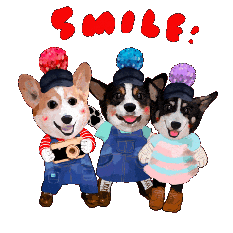 Smile Sticker by patissierharinezumi