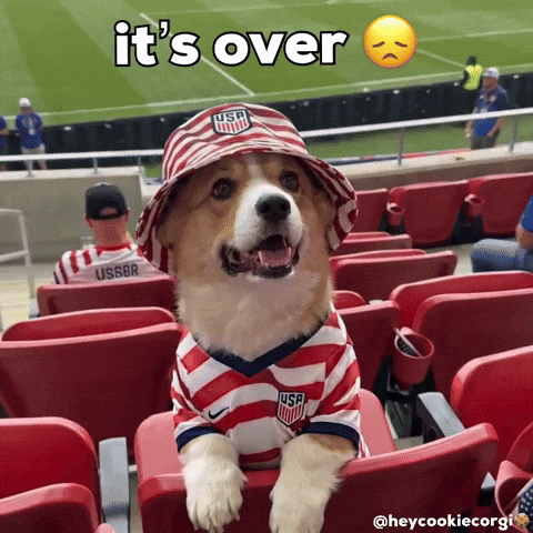 Sad World Cup GIF