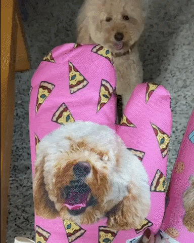 Funny Oven Mitts GIF