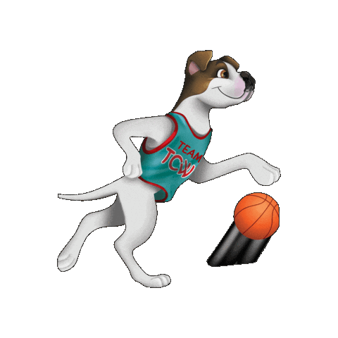 Basketball Cooper Sticker by TCWGlobal