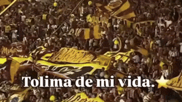 Vamos Deportes Tolima GIF