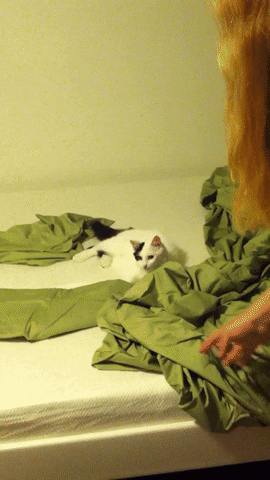 alexiaminton  GIF