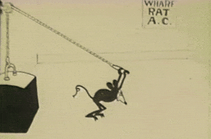 Exercise GIF