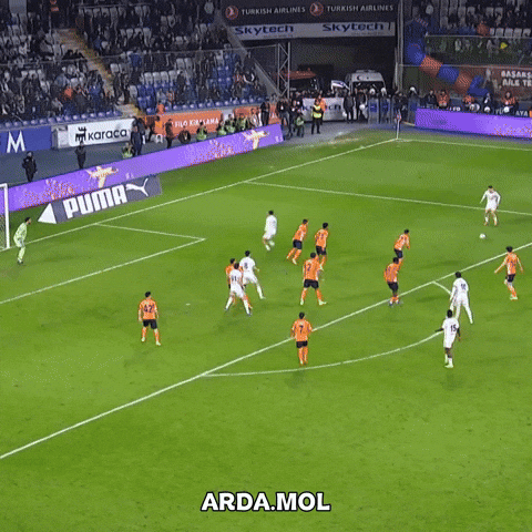 Ardamol GIF