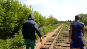 PandaJe  GIF