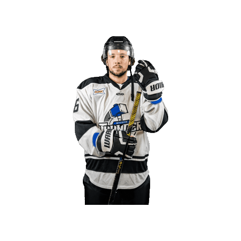 Hockey Sticker by Wichita Thunder