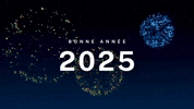 Belle Année 2025 à tous !