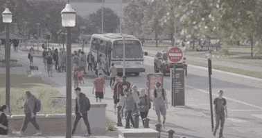 200.gif?cid=fc005b086299182bd6f5d43f860d487a66c9615d5d749592&rid=200.gif&ct=g