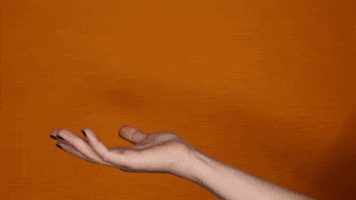 200.gif?cid=fc005b0851745d45cbf2adbfeb7320c0468386e5e6438364&rid=200.gif&ct=g