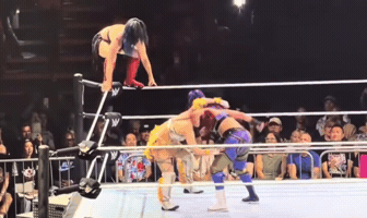 Wwe Dive GIF