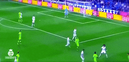 FLC  GIF