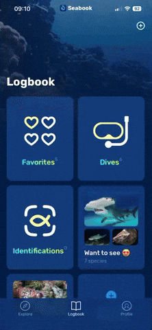 Seabook GIF
