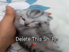 Cat Delete This GIF