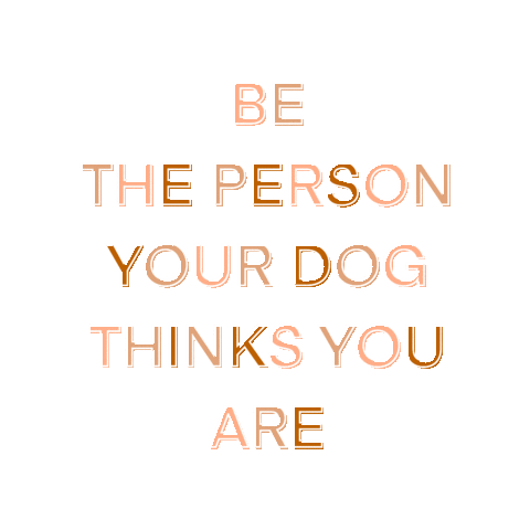 Sticker by Tails Up, Pup