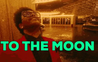 To The Moon Meme GIF by :::Crypto Memes:::