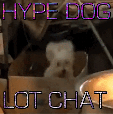 Hype Dog GIF by The Lot Radio