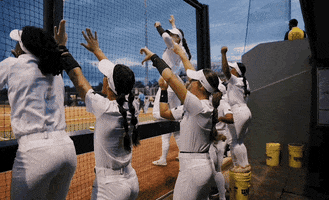 Big 12 Softball GIF by UCF Knights
