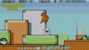 Super Mario Bros Dog GIF by DogeBONK