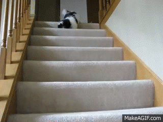 falling down GIF