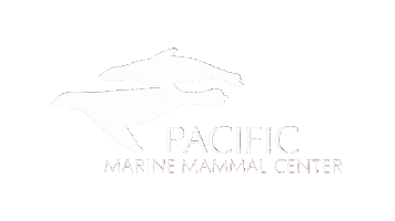 Pmmc Sticker by Pacificmmc